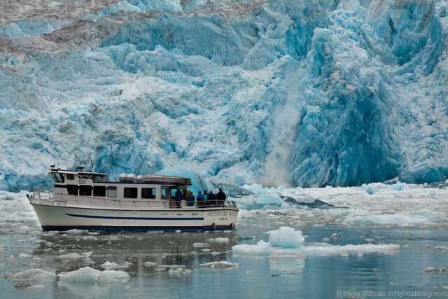 tracy arm fjord cruise excursions