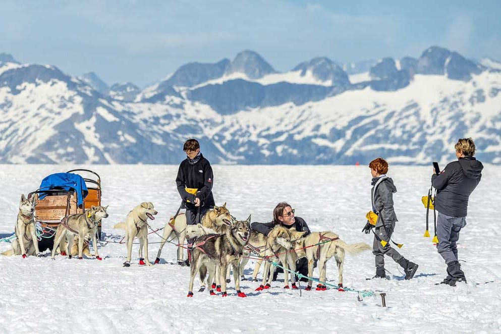 summer dog sled tours juneau alaska