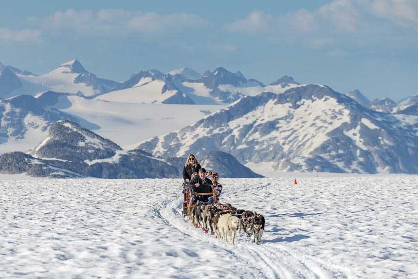 Extended Juneau Glacier Dogsled Adventure Book Alaska Excursions